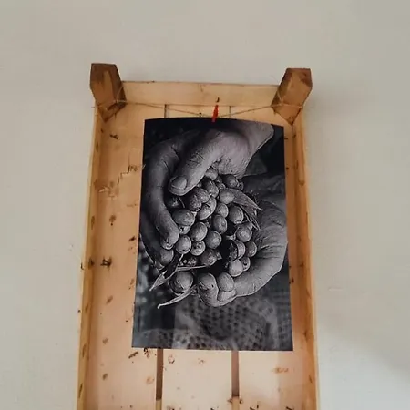 Fiori D'ulivo Palermo