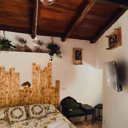 Fiori D'ulivo