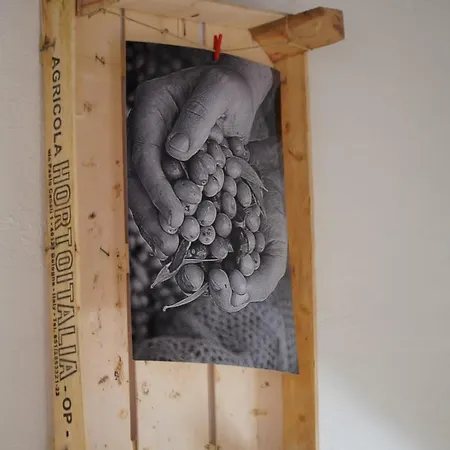 Appartamento Fiori D'ulivo Palermo